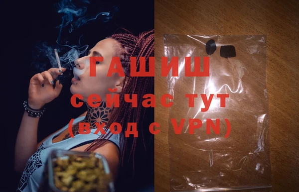 ешки Алзамай