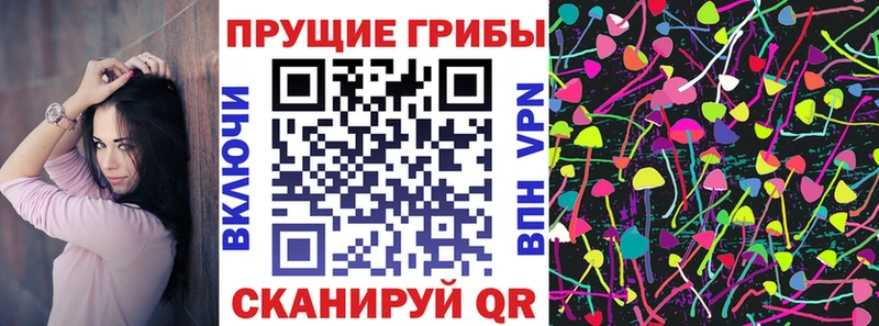 как найти закладки  Полярный  Псилоцибиновые грибы MAGIC MUSHROOMS 